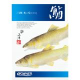 2023鮎カタログ ステッカー付